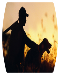 DAREC 311 Gone Hunting (Dog)